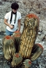 George and cacti (349x512, 37.2 kilobytes)