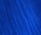 RenShirts.com
