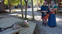 Weekend2 (119)-1024 (1024x576, 190.5 kilobytes)