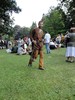 2009_Adventon (513) (450x600, 111.8 kilobytes)