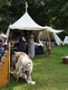 2009_Adventon (568) (450x600, 100.8 kilobytes)