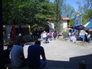 DSC04274 (800x600, 169.9 kilobytes)