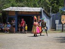 DSC04303 (800x600, 160.8 kilobytes)