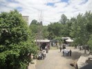muskogee3 (325) (720x540, 102.4 kilobytes)