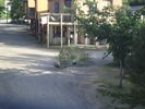 muskogee3 (376) (800x600, 134.0 kilobytes)