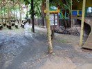 DSC04408 (800x600, 161.2 kilobytes)