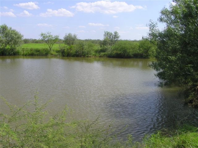 ranch