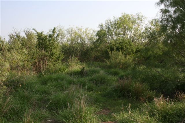 ranch