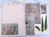 100-0030_IMG (600x450, 65.2 kilobytes)