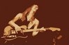 Steve Morse (600x387, 15.7 kilobytes)