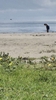 PortC (174)-1024 (576x1024, 268.7 kilobytes)
